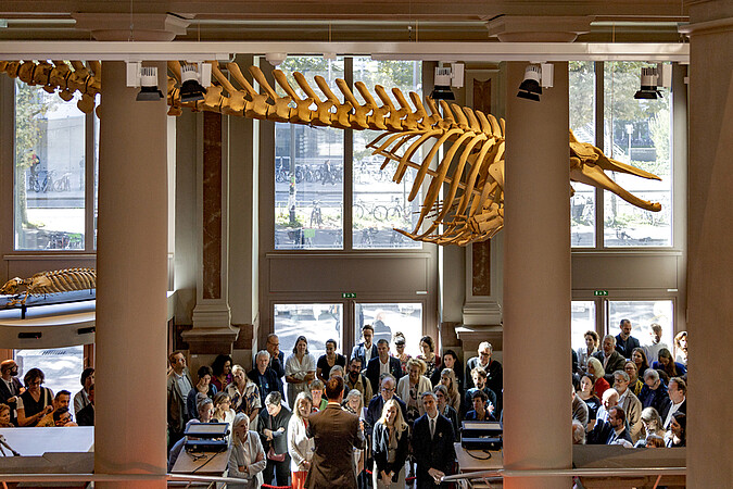 Dossier | Musée zoologique : un établissement rénové pour le 21e siècle